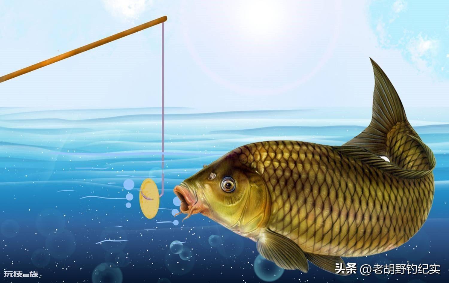 顶漂不中鱼什么原因(为什么会出现浮漂上顶却不中鱼的情况)-图片4